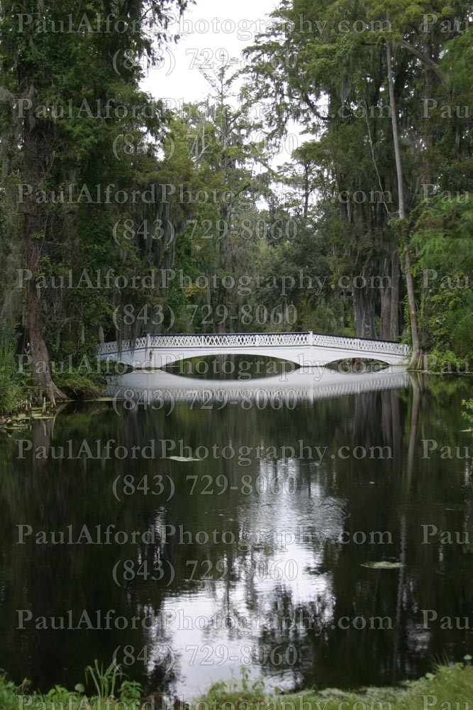 Charleston SC, Lowcountry, magnolia gardens, plantation