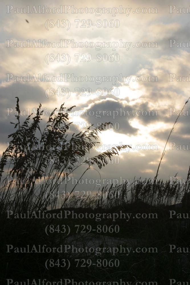 Charleston SC, Lowcountry, beach, sunset