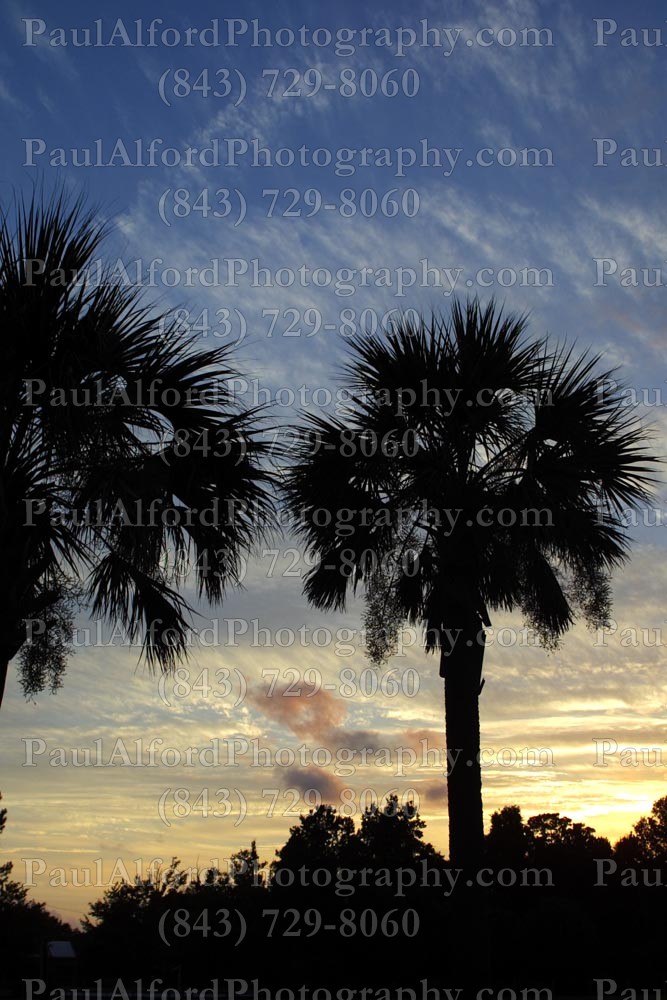 Charleston SC, Lowcountry, beach, sunset