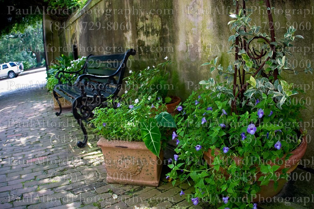 Charleston SC, Lowcountry