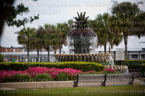 Charleston SC, Lowcountry, palm tree, pineapple, waterfront park