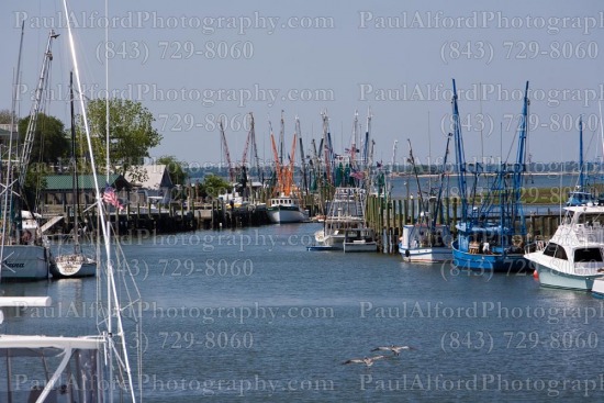 Charleston SC, Lowcountry, boats, harbor, shem creek, water