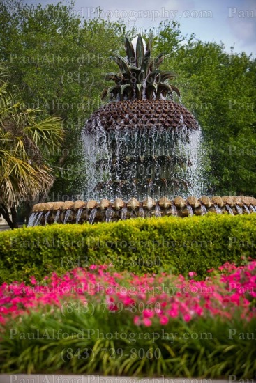 Charleston SC, Lowcountry, pineapple, waterfront park