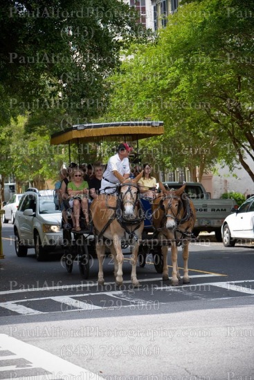 Charleston SC, Lowcountry, cars, city street, downtown, horse carriage