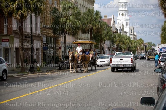 Charleston SC, Lowcountry, cars, city street, downtown, horse carriage