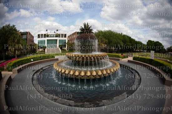 Charleston SC, Lowcountry, pineapple, waterfront park