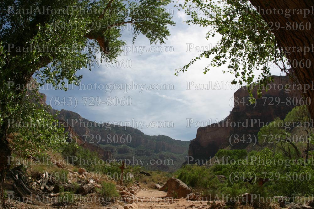 Arizona, Grand Canyon, national park, nature