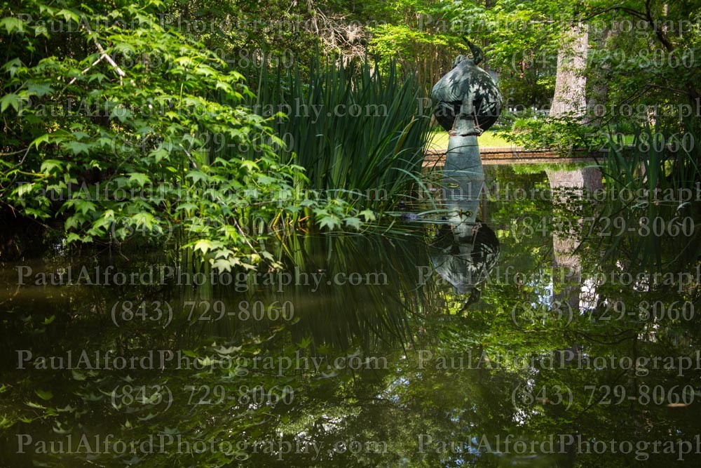 Summerville SC, azalea park, city streets, flowers, nature