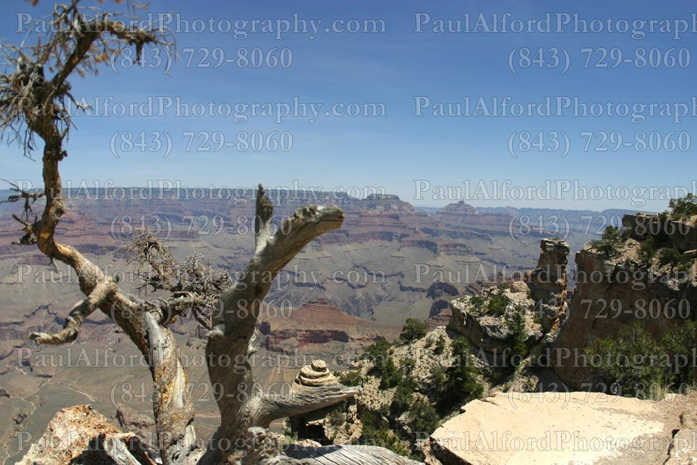 Arizona, Grand Canyon, national park, nature