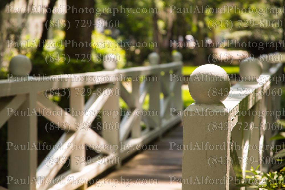 Summerville SC, azalea park, bridge, city streets, flowers, nature