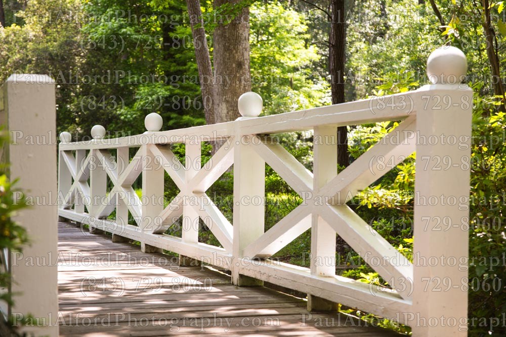 Summerville SC, azalea park, bridge, city streets, flowers, nature