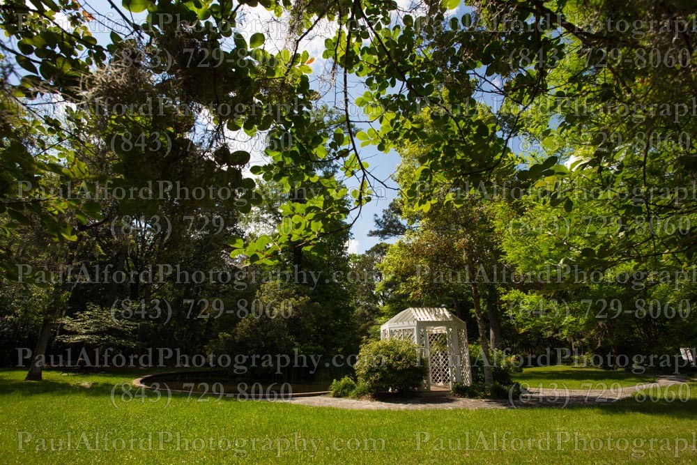 Summerville SC, azalea park, city streets, flowers, nature