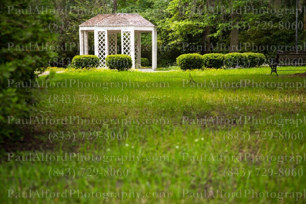 Summerville SC, azalea park, city streets, flowers, nature