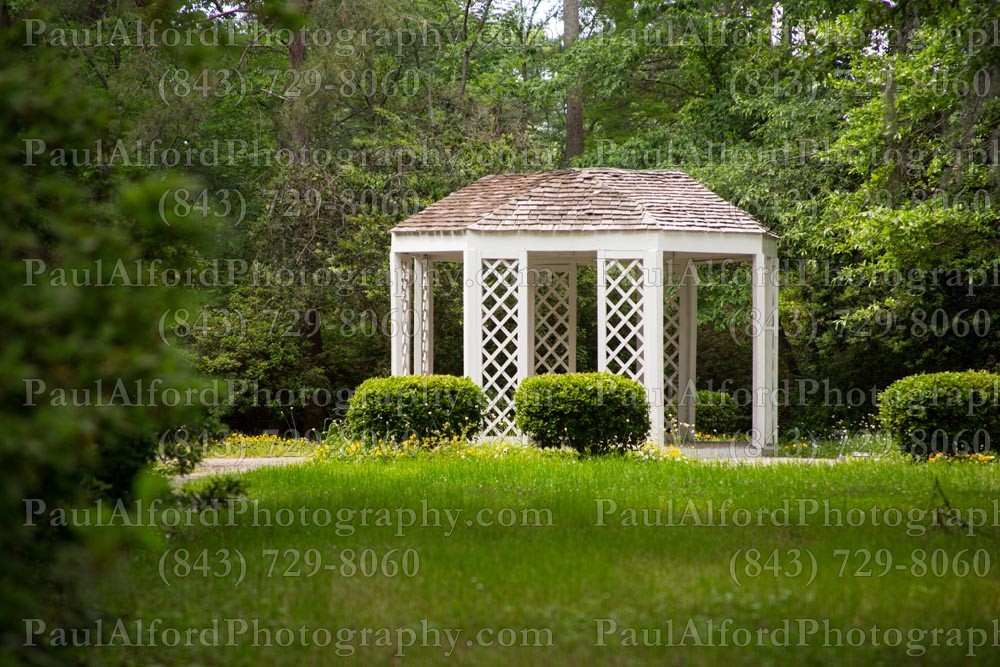 Summerville SC, azalea park, city streets, flowers, nature