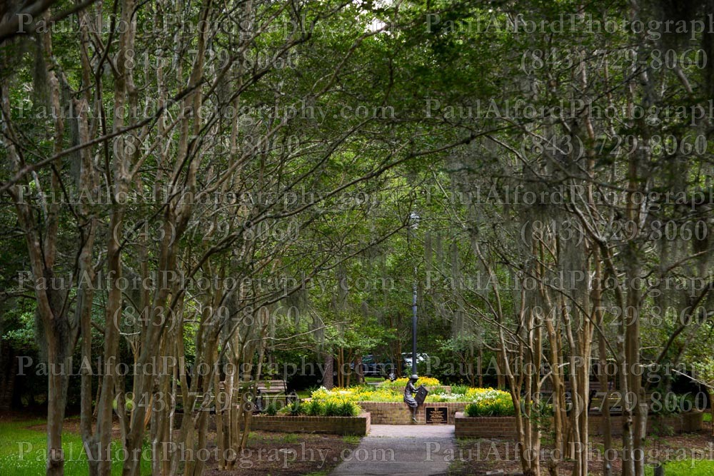 Summerville SC, azalea park, city streets, flowers, nature, path
