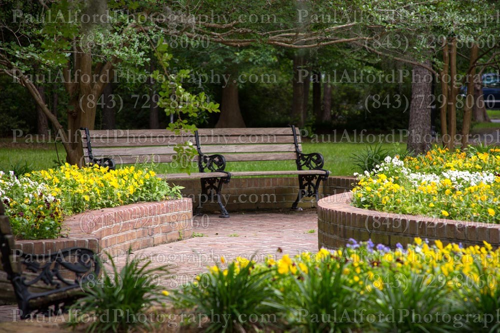 Summerville SC, azalea park, city streets, flowers, nature, path