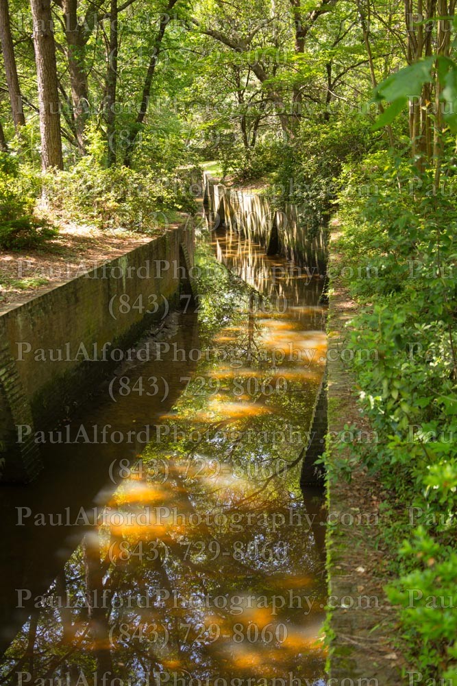 Summerville SC, azalea park, bridge, city streets, flowers, nature
