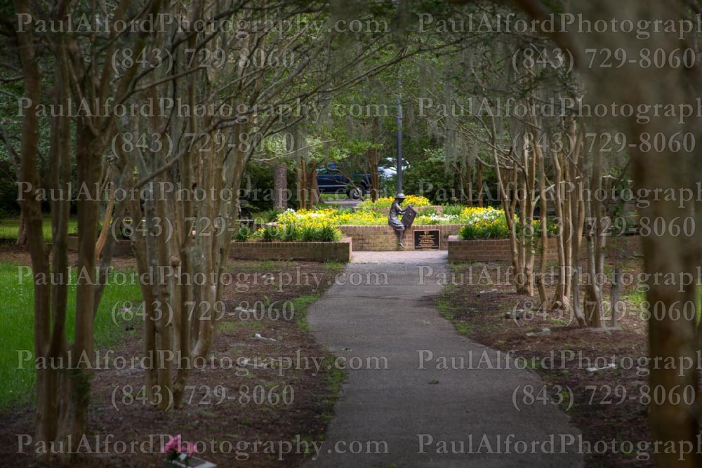 Summerville SC, azalea park, city streets, flowers, nature, path