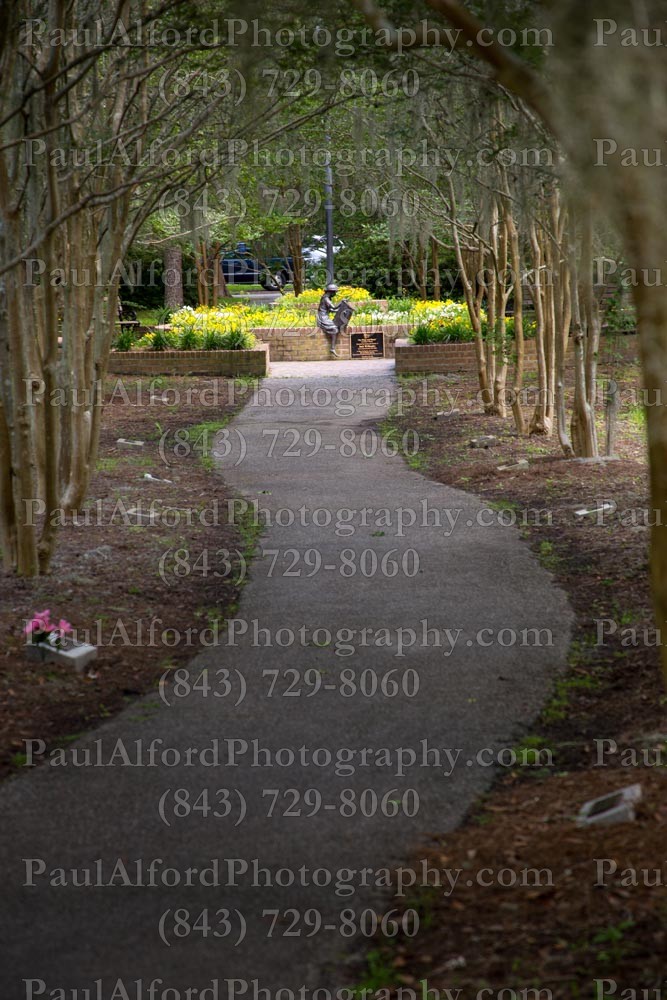 Summerville SC, azalea park, city streets, flowers, nature, path