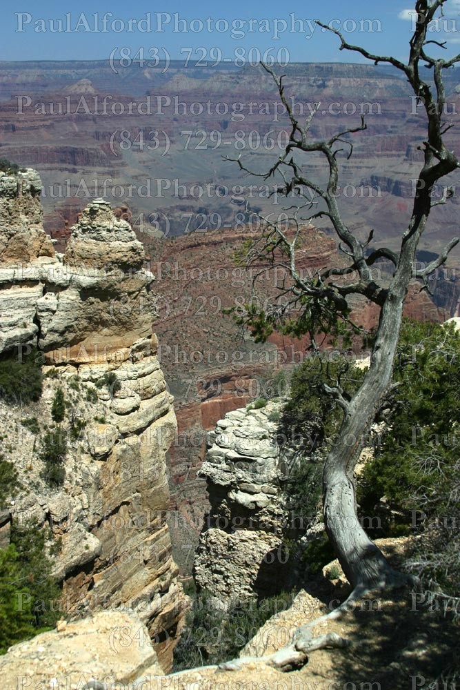 Arizona, Grand Canyon, national park, nature