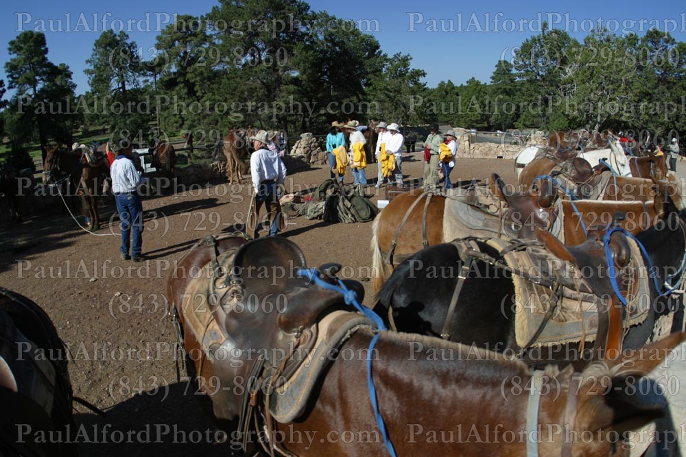 Arizona, Grand Canyon, national park, nature