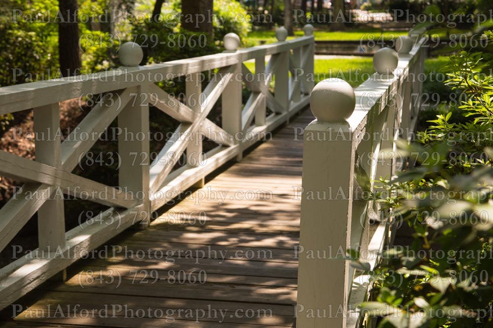 Summerville SC, azalea park, bridge, city streets, flowers, nature