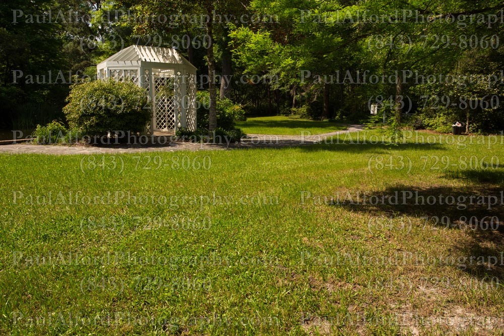 Summerville SC, azalea park, city streets, flowers, nature