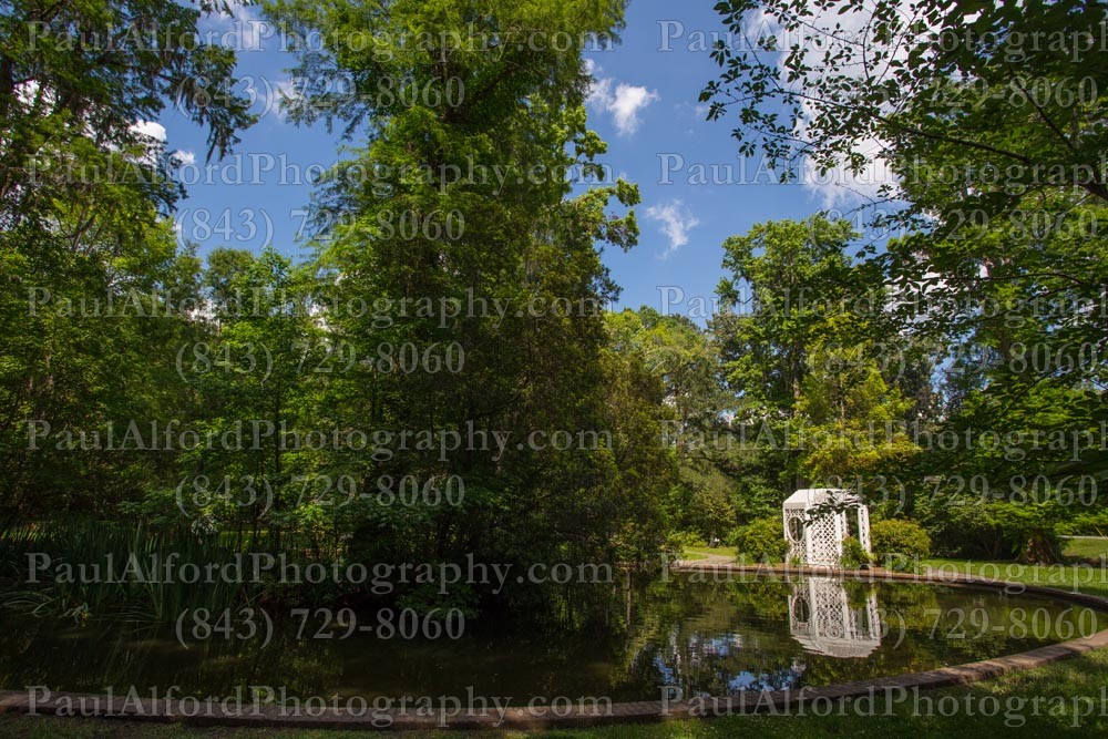 Summerville SC, azalea park, city streets, flowers, nature