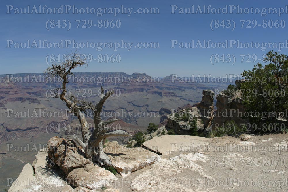 Arizona, Grand Canyon, national park, nature