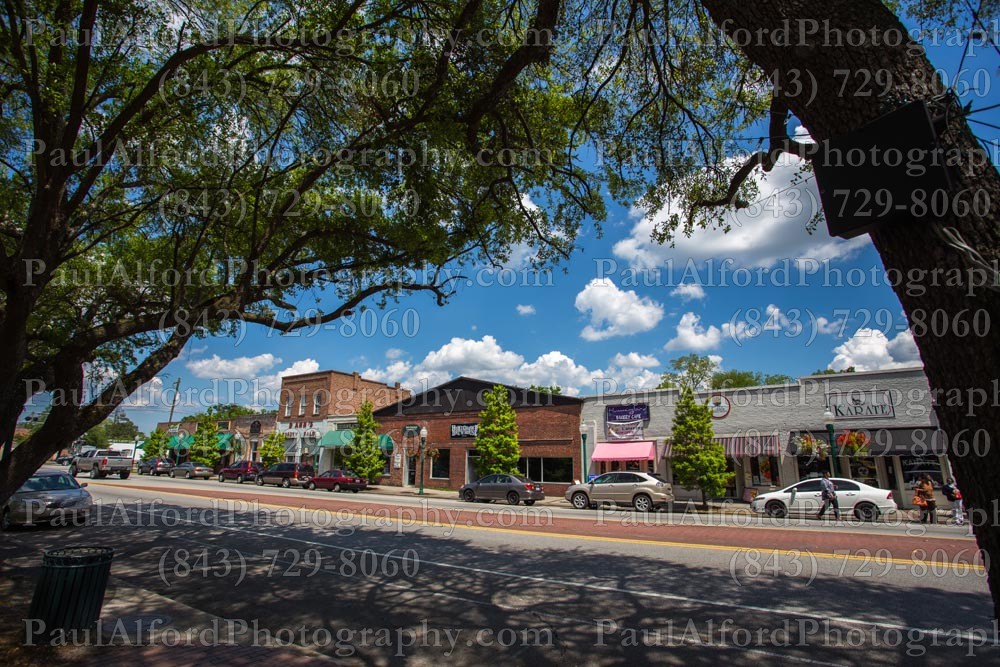 Summerville SC, cars, city streets, trees