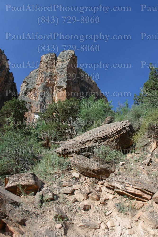Arizona, Grand Canyon, national park, nature