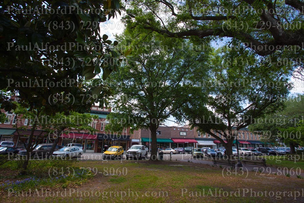 Summerville SC, cars, city streets, trees