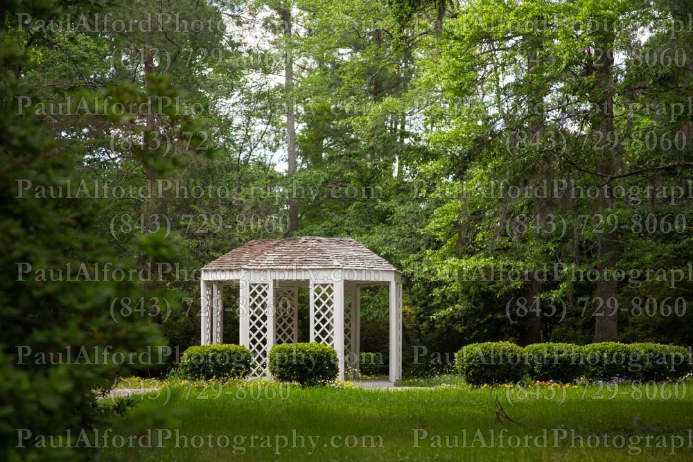 Summerville SC, azalea park, city streets, flowers, nature
