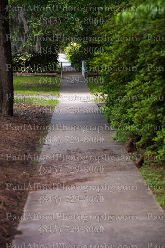 Summerville SC, azalea park, city streets, flowers, nature, path