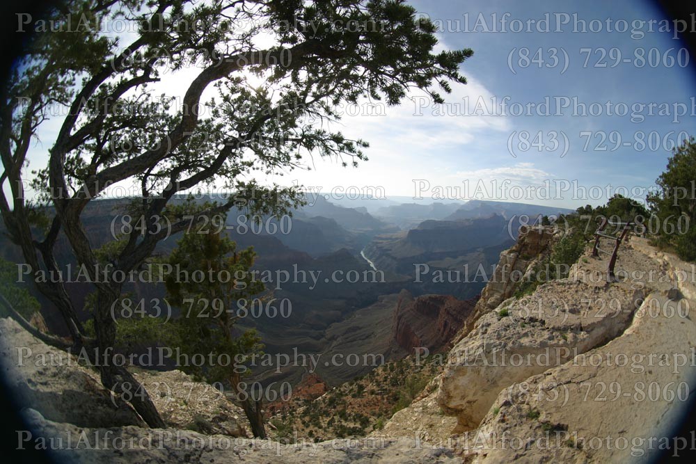 Arizona, Grand Canyon, national park, nature