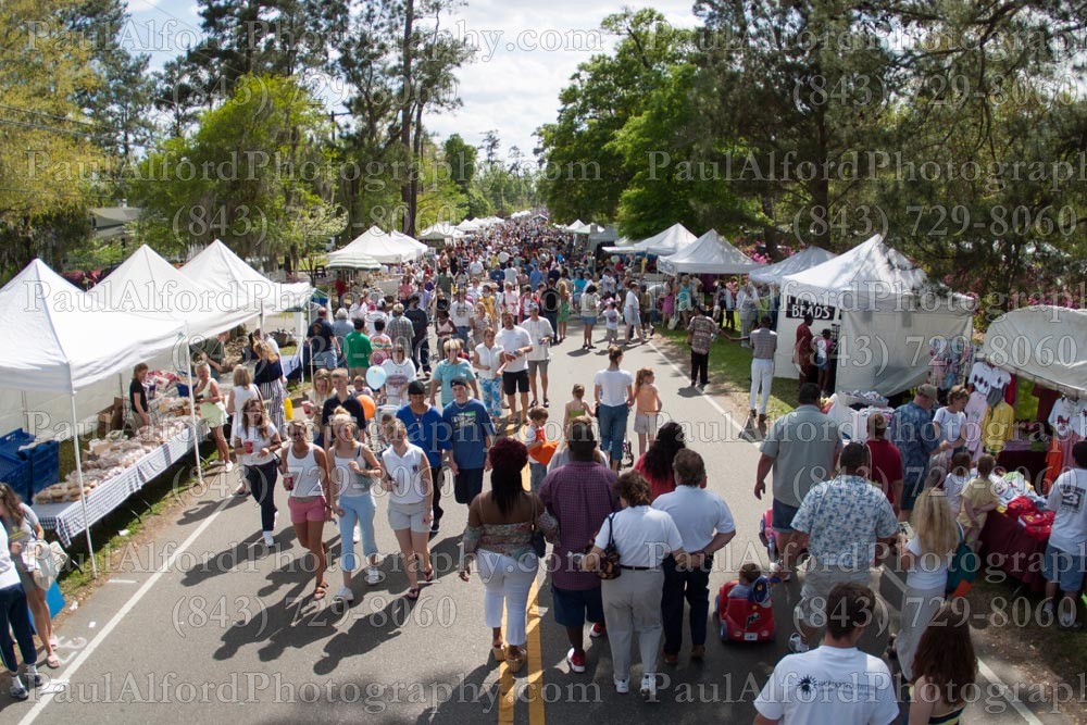 city street, crowd, flowertown festival, summerville sc, trees