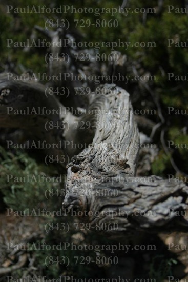Arizona, Grand Canyon, national park, nature