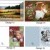 Greeting Cards | Christmas_Designs_Comp4.jpg