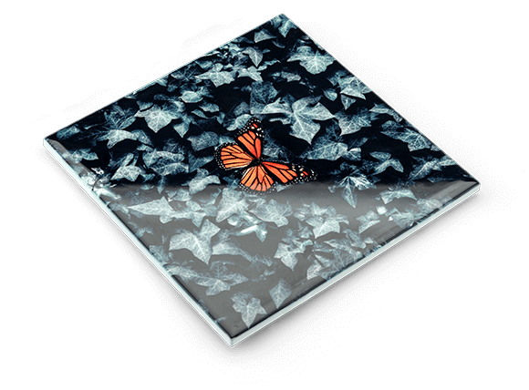 Ceramic Photo Tile | Ceramic_Tile2.png